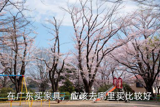 在廣東哪里買家私好,在廣東買家具