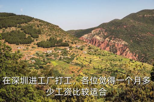 在深圳進工廠打工，各位覺得一個月多少工資比較適合