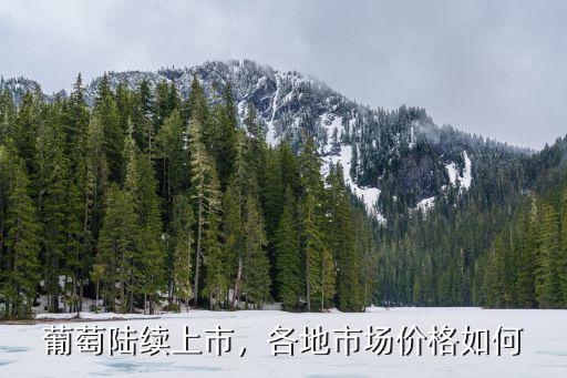 葡萄陸續(xù)上市，各地市場價格如何