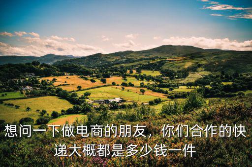 想問一下做電商的朋友，你們合作的快遞大概都是多少錢一件