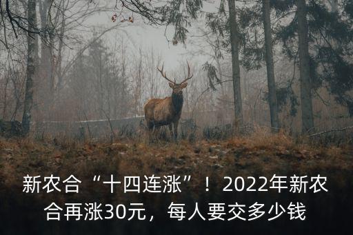 新農合“十四連漲”！2022年新農合再漲30元，每人要交多少錢