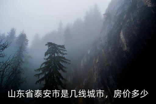 山東省泰安市是幾線城市，房價多少