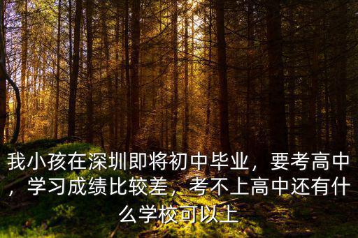 我小孩在深圳即將初中畢業(yè)，要考高中，學習成績比較差，考不上高中還有什么學校可以上