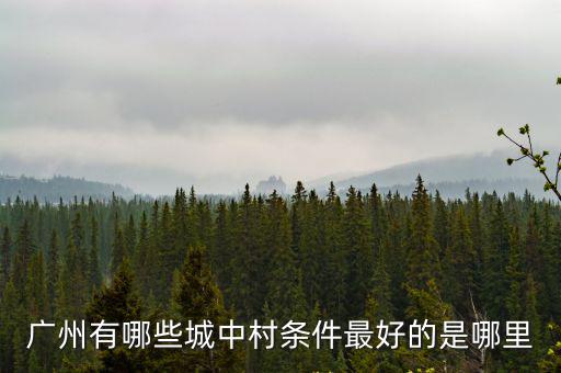 廣州城中村哪里最多人住,廣州哪里外來人比較多