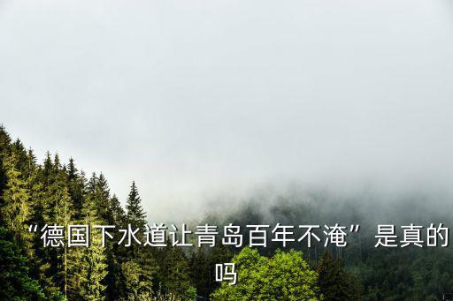 “德國下水道讓青島百年不淹”是真的嗎