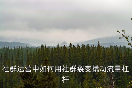 廣東社群裂變怎么選,什么是社群裂變