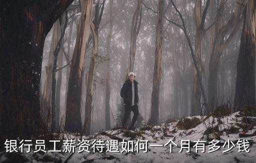 銀行員工薪資待遇如何一個月有多少錢