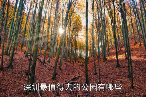 深圳鳳凰山哪里有水庫,深圳的鳳凰山