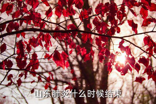 山東肺炎什么時(shí)候結(jié)束