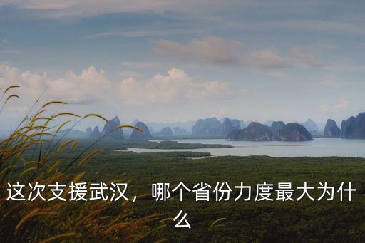 這次支援武漢，哪個省份力度最大為什么