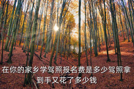 在你的家鄉學駕照報名費是多少駕照拿到手又花了多少錢