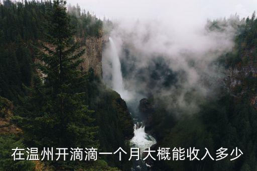 在溫州開滴滴一個月大概能收入多少
