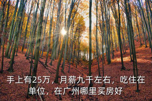 手上有25萬，月薪九千左右，吃住在單位，在廣州哪里買房好