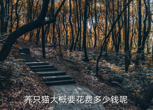 湖州貓藥浴多少錢,養只貓大概要花費多少錢呢