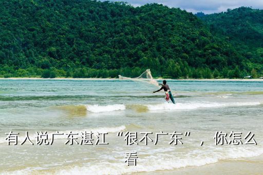 廣東湛江麻弄村在哪里,有人說廣東湛江很不廣東