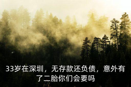 深圳有多少負(fù)債,負(fù)債100萬(wàn)