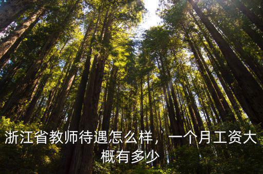 寧波新教師第一個月工資多少,浙江省教師待遇怎么樣
