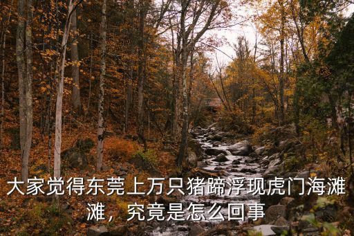 大家覺得東莞上萬只豬蹄浮現虎門海灘灘，究竟是怎么回事