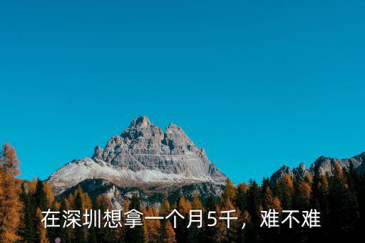 深圳做促銷(xiāo)員一個(gè)月多少錢(qián),在深圳做房地產(chǎn)銷(xiāo)售