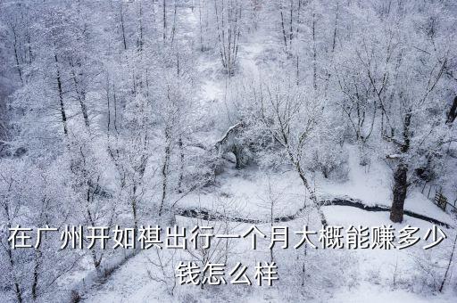 在廣州開如祺出行一個月大概能賺多少錢怎么樣