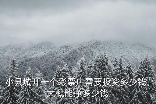 清遠開個體彩店多少錢,開一個體育彩票店需要多少錢