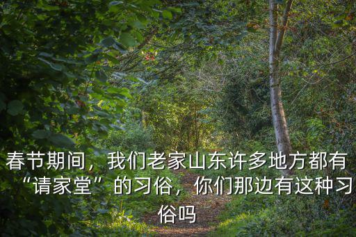 春節期間，我們老家山東許多地方都有“請家堂”的習俗，你們那邊有這種習俗嗎