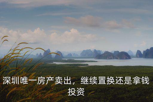 深圳唯一房產賣出，繼續置換還是拿錢投資