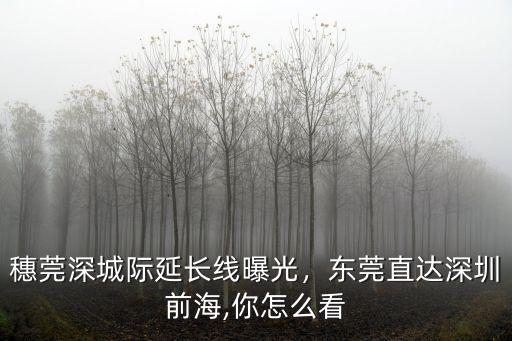 深圳地鐵延長線到東莞哪里,東莞直達深圳前海