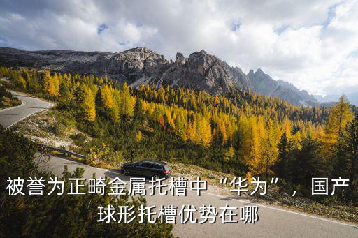 東莞球面托槽多少錢,球面自鎖牙套多少錢