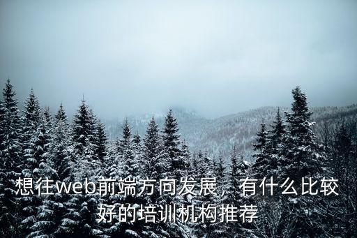 想往web前端方向發(fā)展，有什么比較好的培訓(xùn)機構(gòu)推薦