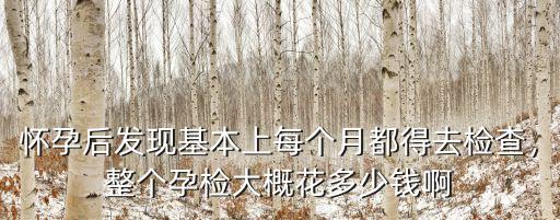 懷孕后發現基本上每個月都得去檢查，整個孕檢大概花多少錢啊