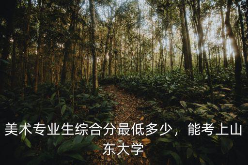 山東大學(xué)美術(shù)生高考分?jǐn)?shù)是多少,能考上山東大學(xué)