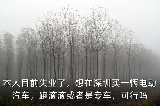 深圳買一輛電動車多少錢,想在深圳買一輛電動汽車