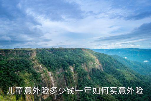 杭州浪浪公園兒童意外險多少錢,兒童意外險多少錢一年