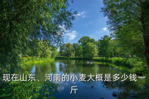 現在山東、河南的小麥大概是多少錢一斤