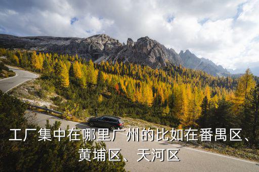 廣州廠在哪里有,廣州的比如在番禺區