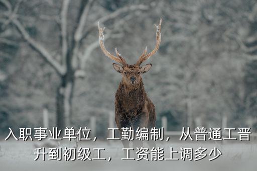濰坊事業(yè)編制的工資漲多少,事業(yè)單位的工資待遇如何