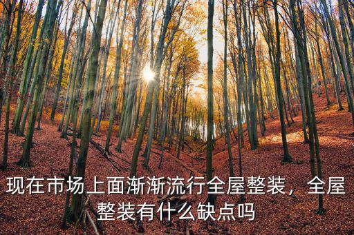 現在市場上面漸漸流行全屋整裝，全屋整裝有什么缺點嗎