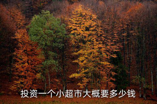 濟寧小超市投資多少錢,投資一個小超市大概要多少錢