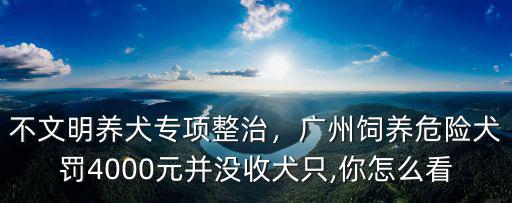 不文明養(yǎng)犬專項整治，廣州飼養(yǎng)危險犬罰4000元并沒收犬只,你怎么看