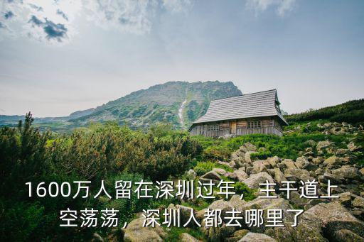 1600萬人留在深圳過年，主干道上空蕩蕩，深圳人都去哪里了