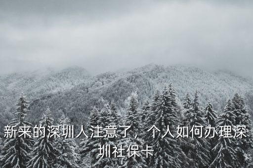 深圳實體社保卡怎么辦理,個人如何辦理深圳社保卡