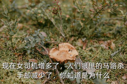 河源女司機現在怎么樣了,女司機撞死老太太