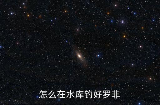 在東莞釣羅非怎么釣,怎么在水庫釣好羅非