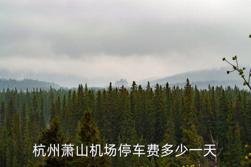 杭州in77停車費(fèi)多少,杭州蕭山機(jī)場(chǎng)停車費(fèi)多少一天
