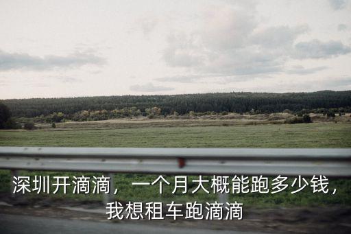 深圳滴滴特惠單一天能跑多少錢,深圳跑眾包一天可以多少錢