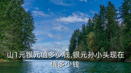 歲中山1元銀元值多少錢,銀元孫小頭現在值多少錢