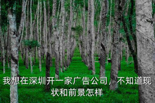 在深圳開公司怎么樣,我想在深圳開一家廣告公司
