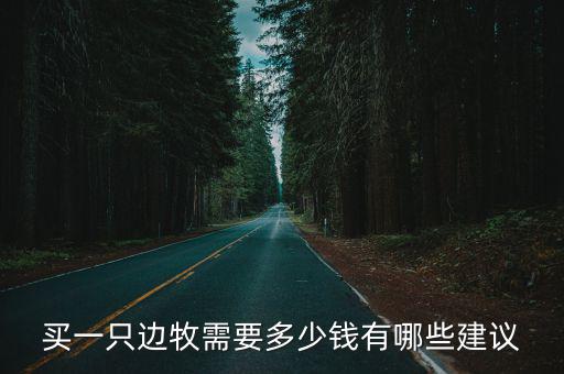 買(mǎi)一只邊牧需要多少錢(qián)有哪些建議
