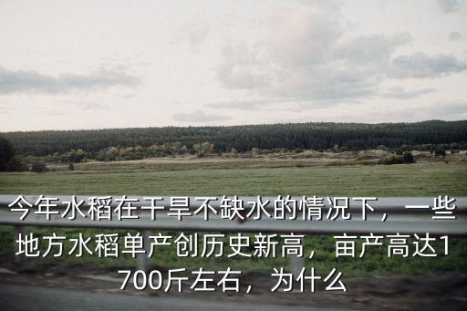 今年水稻在干旱不缺水的情況下，一些地方水稻單產(chǎn)創(chuàng)歷史新高，畝產(chǎn)高達(dá)1700斤左右，為什么